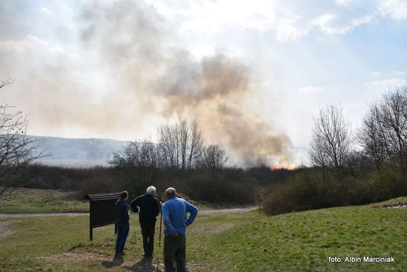 pożar łąk w Krakowie 43