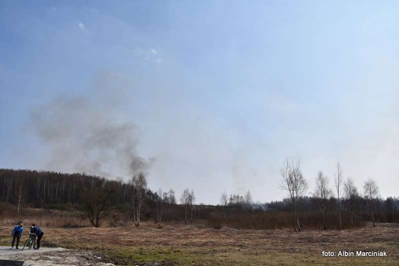 pożar łąk w Krakowie 5