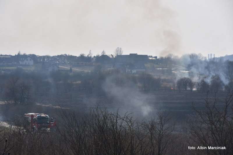 pożar łąk w Krakowie 54