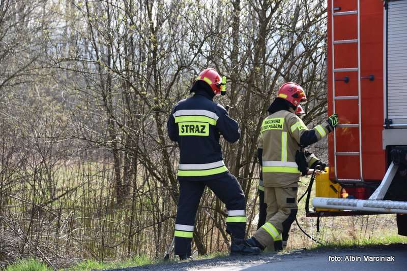 pożar łąk w Krakowie 9