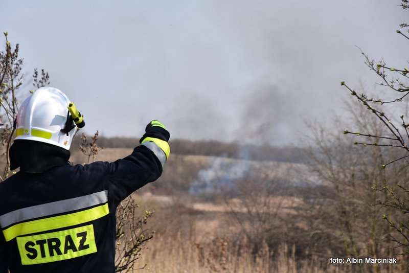 pożar łąk w Krakowie 31