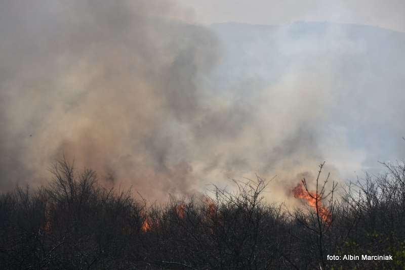 pożar łąk w Krakowie 45
