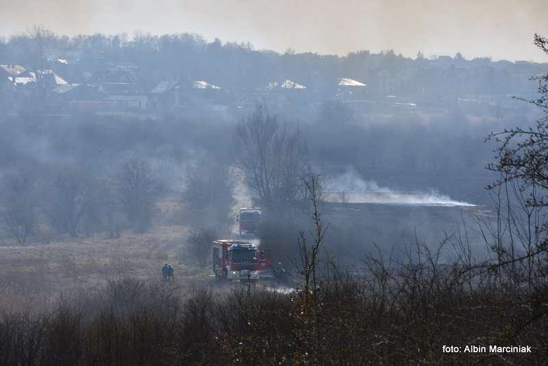 pożar łąk w Krakowie 47