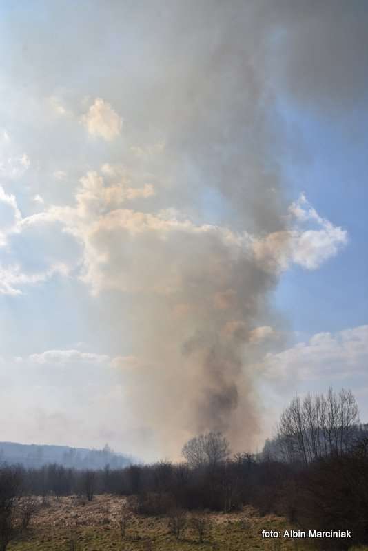 pożar łąk w Krakowie 50