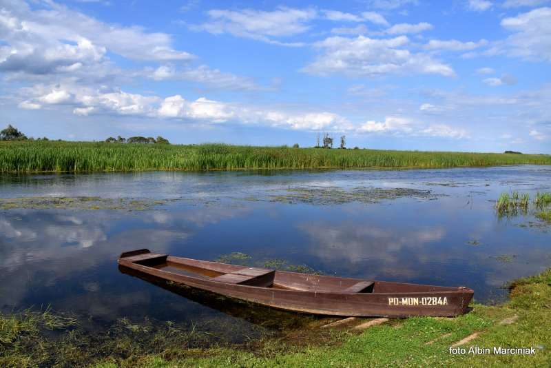 19 Biebrzański Park Narodowy Goniądz Biebrza