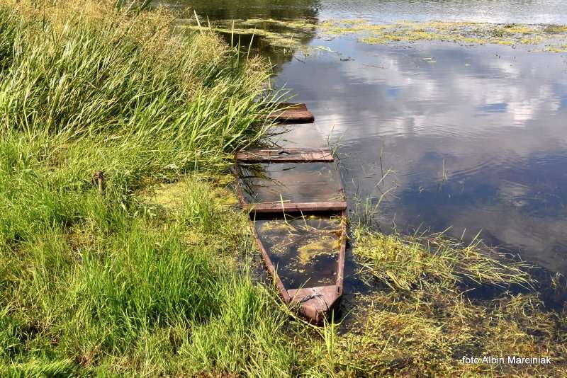 24 Biebrzański Park Narodowy Goniądz Biebrza