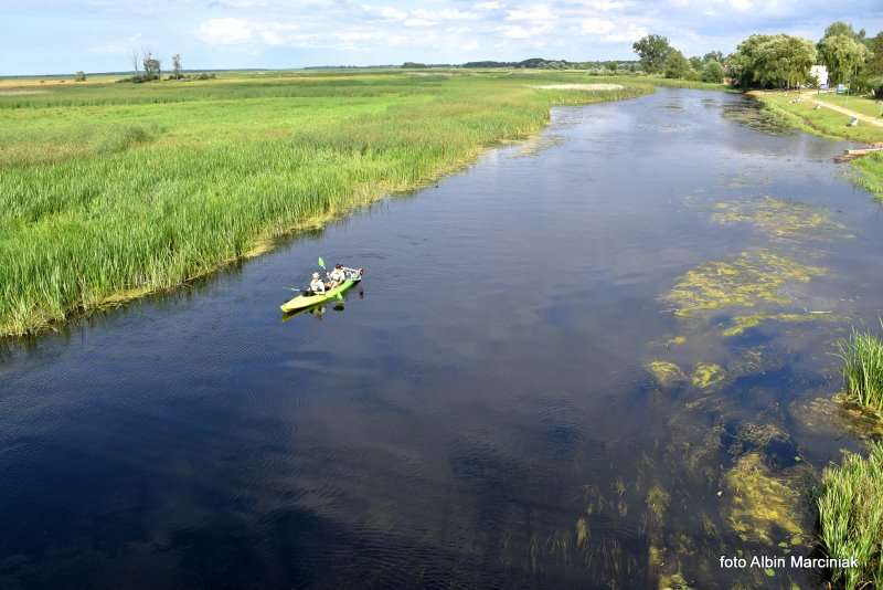 26 Goniądz kajaki Biebrzański Park Narodowy