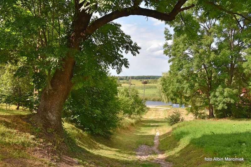 5 Biebrzański Park Narodowy Goniądz Biebrza