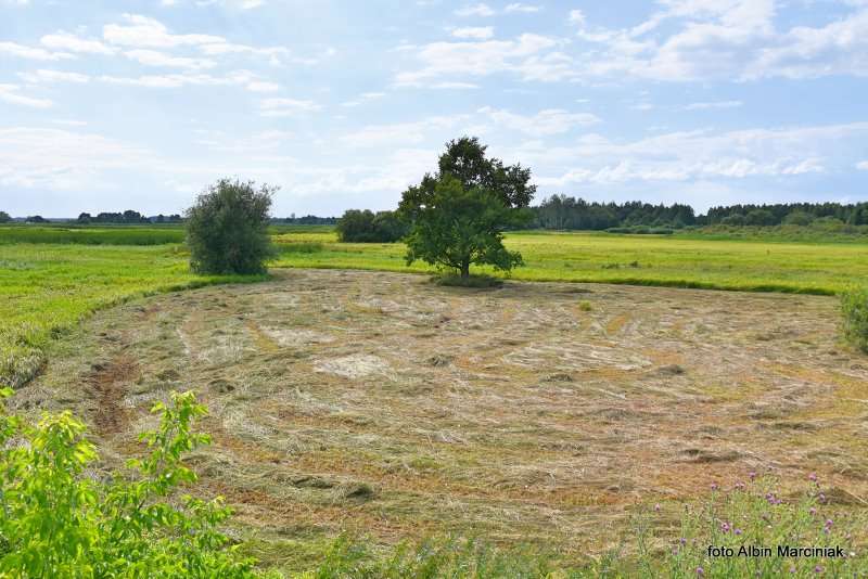 7 Biebrzański Park Narodowy Goniądz Biebrza