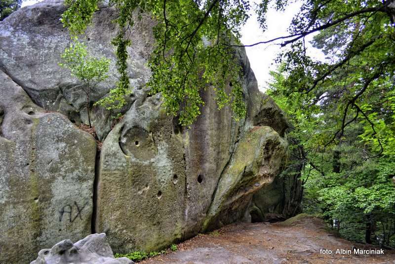 Rezerwat przyrody Prządki 12