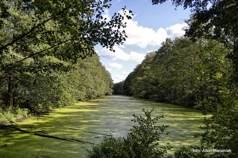 Śluzy w Leśniewie na Mazurach 20