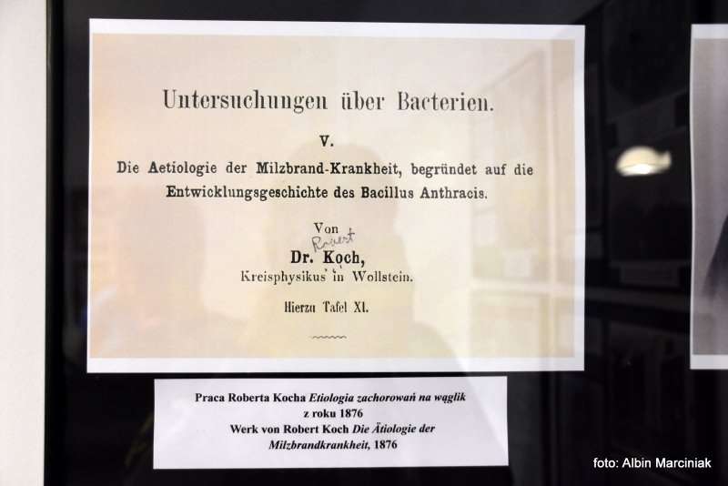Muzeum laureata Nagrody Nobla dr Roberta Kocha odkrywcy bakterii wywołującej gruźlicę 10