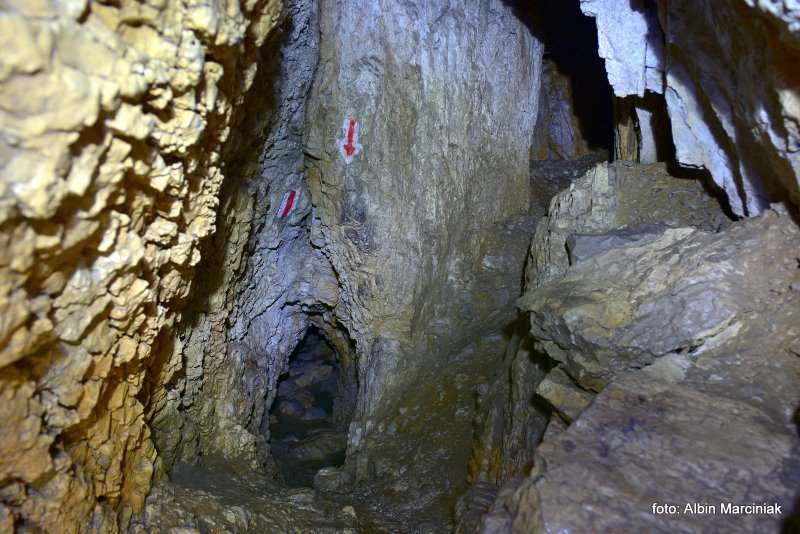 Jaskinia Mylna w Dolinie Kościeliskiej 12