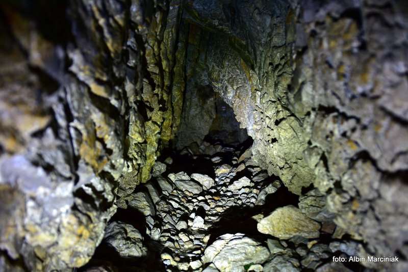 Jaskinia Mylna w Dolinie Kościeliskiej 16