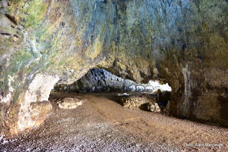 Jaskinia Nietoperzowa 1