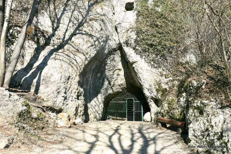 Jaskinia Nietoperzowa 12