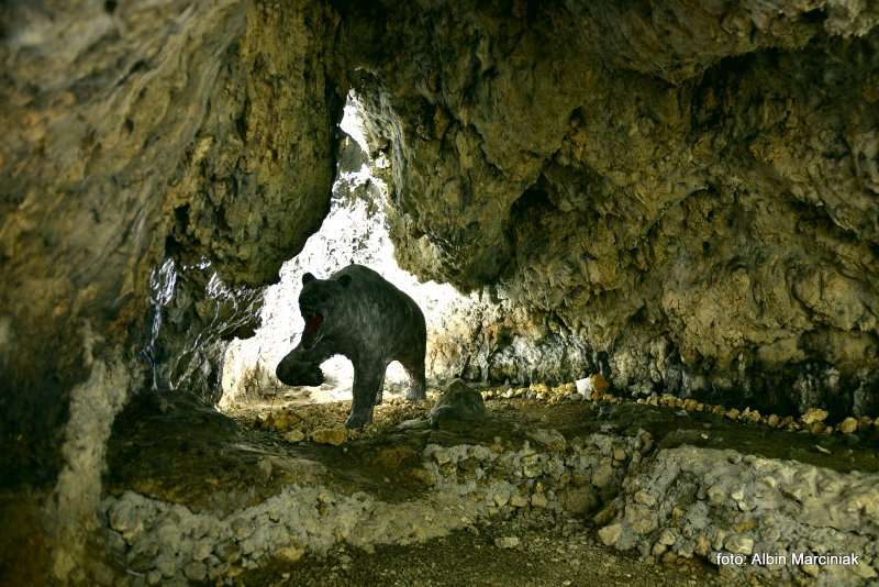 Jaskinia Nietoperzowa 16
