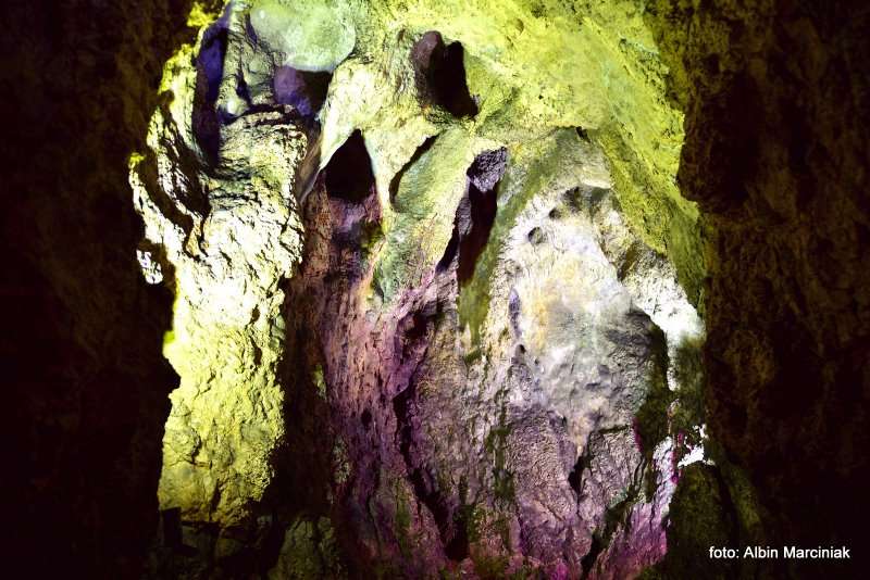 Jaskinia Nietoperzowa 17