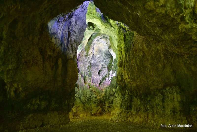 Jaskinia Nietoperzowa 19