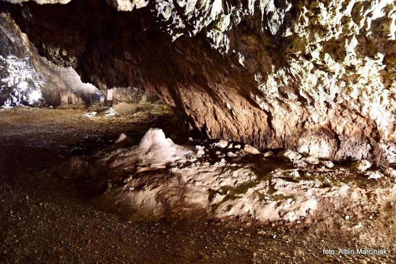 Jaskinia Nietoperzowa 21