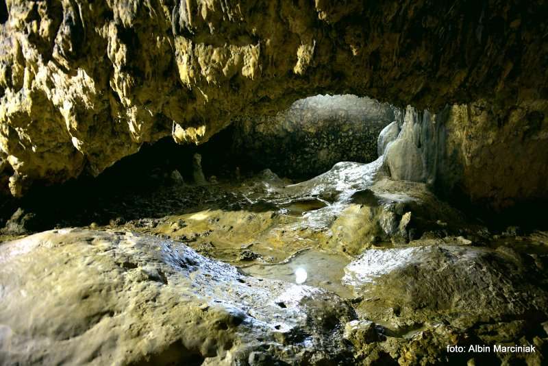 Jaskinia Nietoperzowa 22