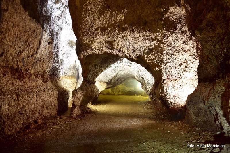 Jaskinia Nietoperzowa 24