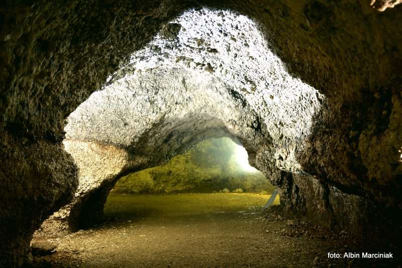 Jaskinia Nietoperzowa 8