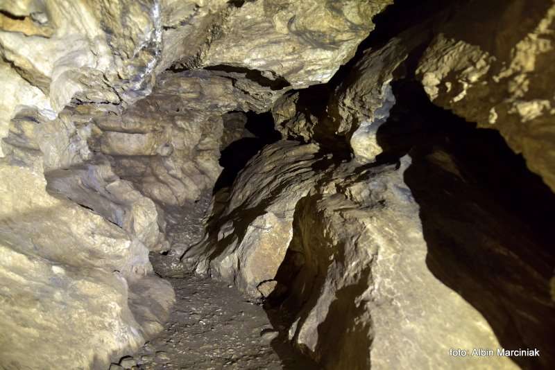 Jaskinia Radochowska 13