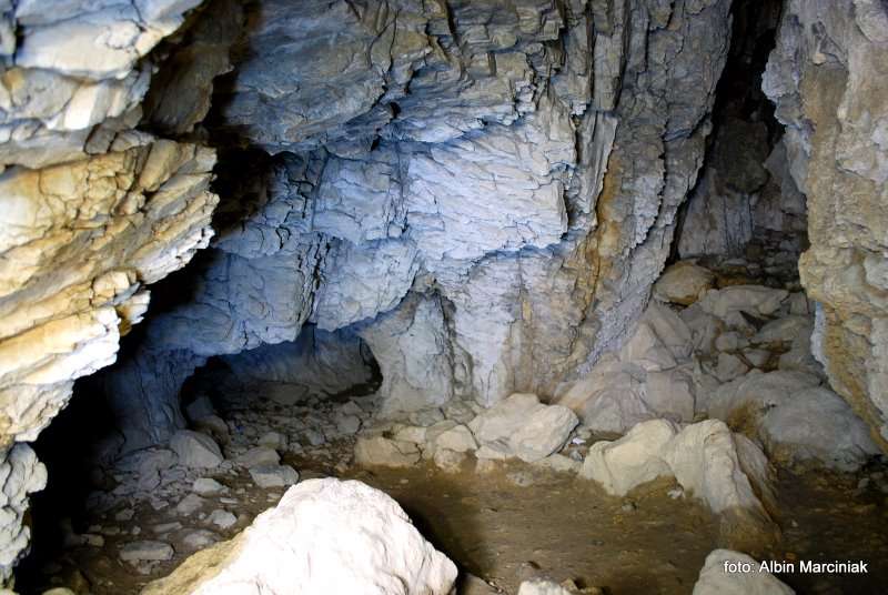Jaskinia Mylna 1