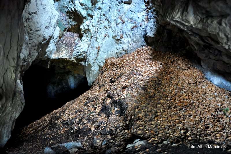 Jaskinia ku Dziurze 11