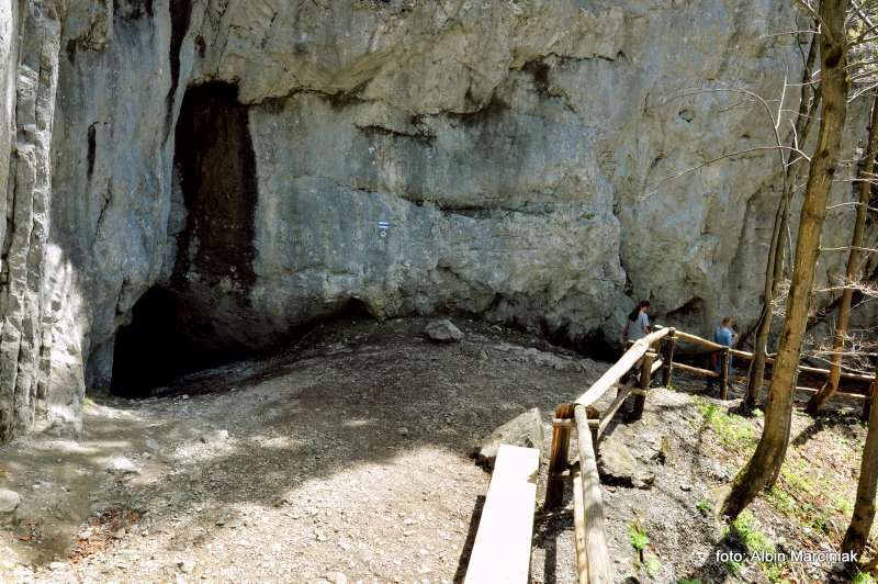 Jaskinia ku Dziurze 12