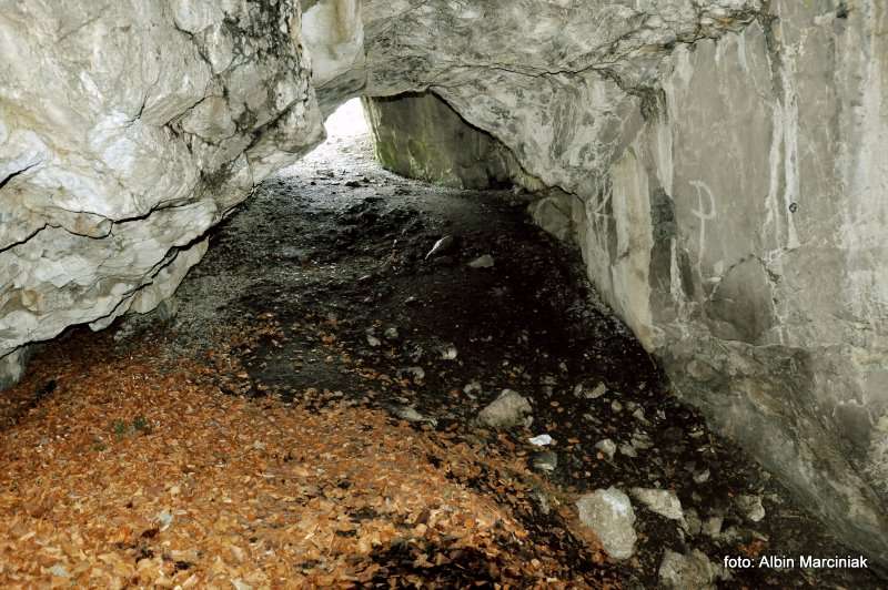 Jaskinia ku Dziurze 4
