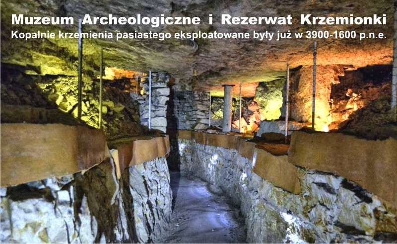 Muzeum Archeologiczne i Rezerwat Krzemionki