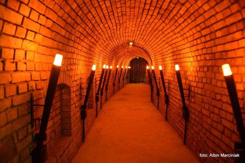 Rzeszowskie Piwnice podziemna trasa turystyczna 12