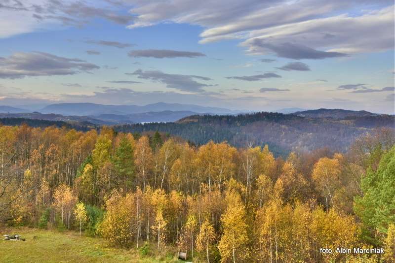 Bacowka na Jamnej okolica 1