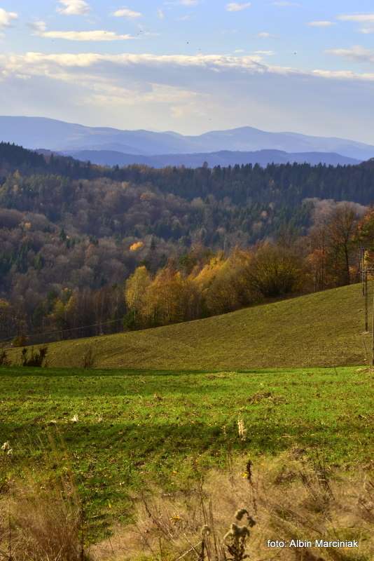 Bacowka na Jamnej okolica 4