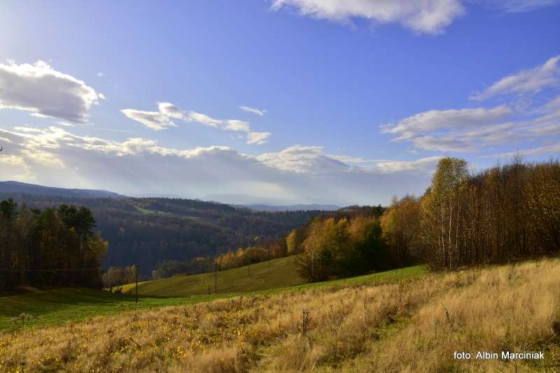 Bacowka na Jamnej okolica 6