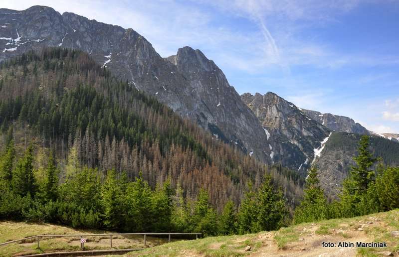 Sarnia Skała w Tatrach Zachodnich 7