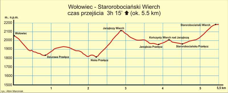 13 Wołowiec Starorobociański