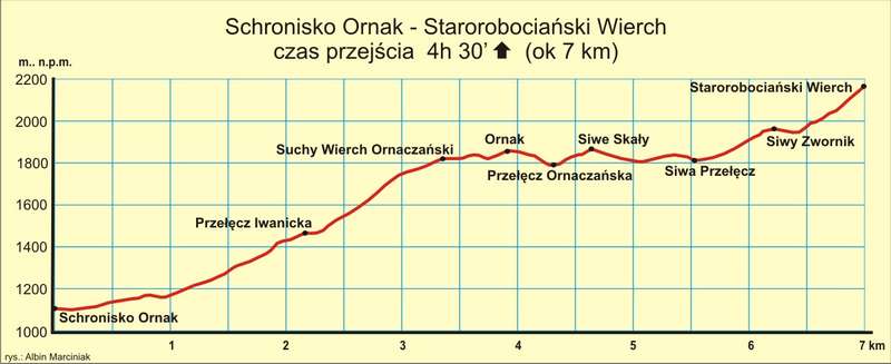 9 Ornak Starorobociański Wierch