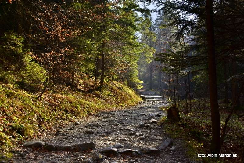 Dolina Białego Tatry 11