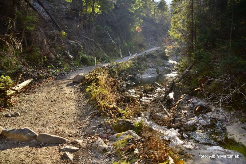 Dolina Białego Tatry 12