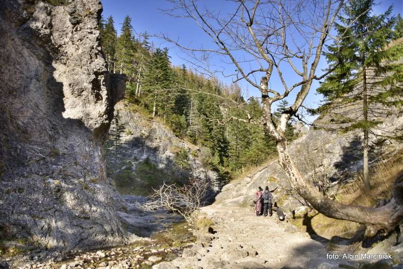 Dolina Białego Tatry 3