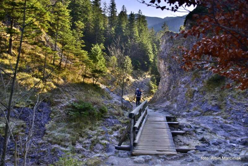 Dolina Białego Tatry 4