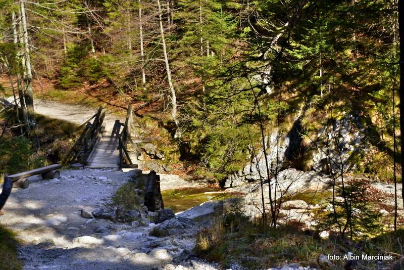 Dolina Białego Tatry 7