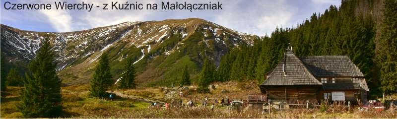 Malolaczniak