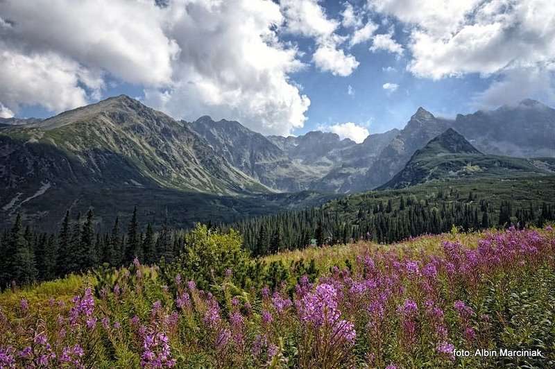 Hala Gąsienicowa Tatry 1