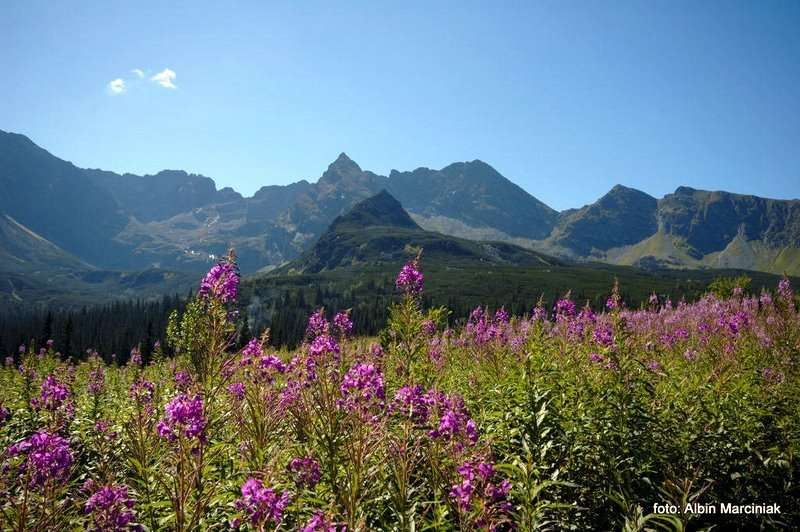 Kościelec Tatry