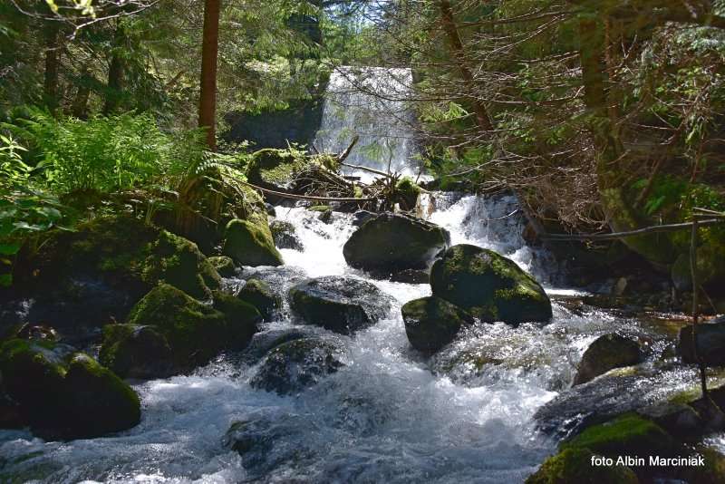 Jarząbczy Potok Tatry Zachodnie 2