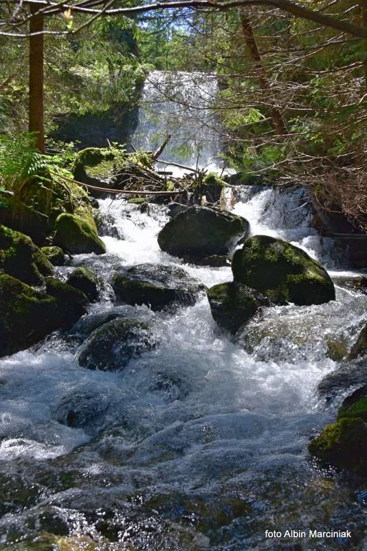 Jarząbczy Potok Tatry Zachodnie 3